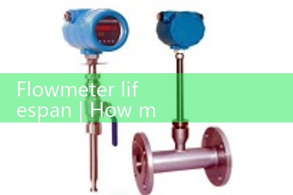 Lifespan of flow meter